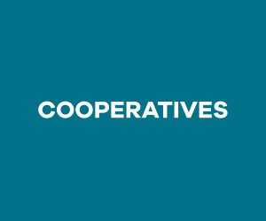 Ves als EXPOSITORS de COOPERATIVES de la secció EMPRESA i COOPERATIVES de la Candelera Virtual 2021