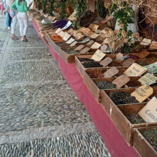 FPU25 ANTONIO TRIBALDOS PEREZ