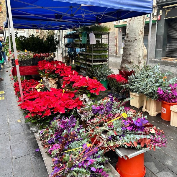 FPU25 Adria Ferret Pascual