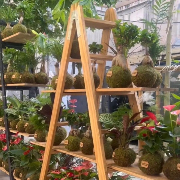 FPU25 Arts and Plants, S.L.