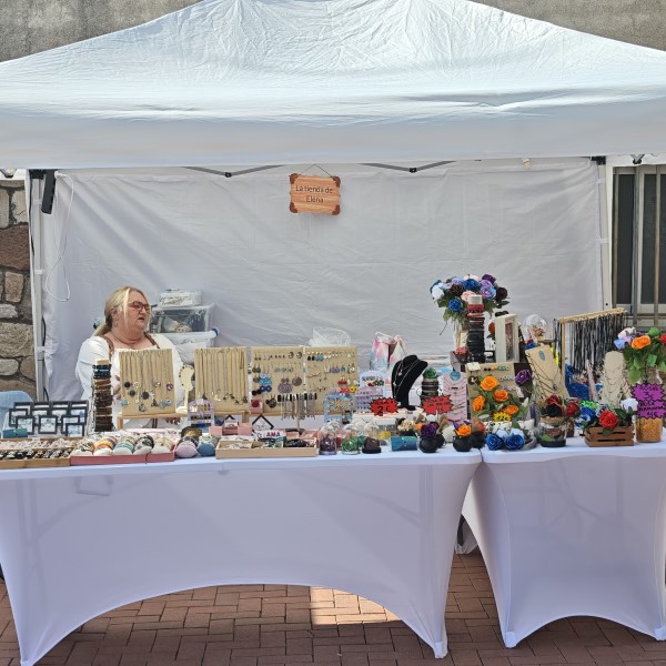 FPU25 ELENA Cartes Reche