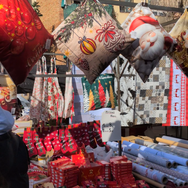 FPU25 Francisca Castro Cortes