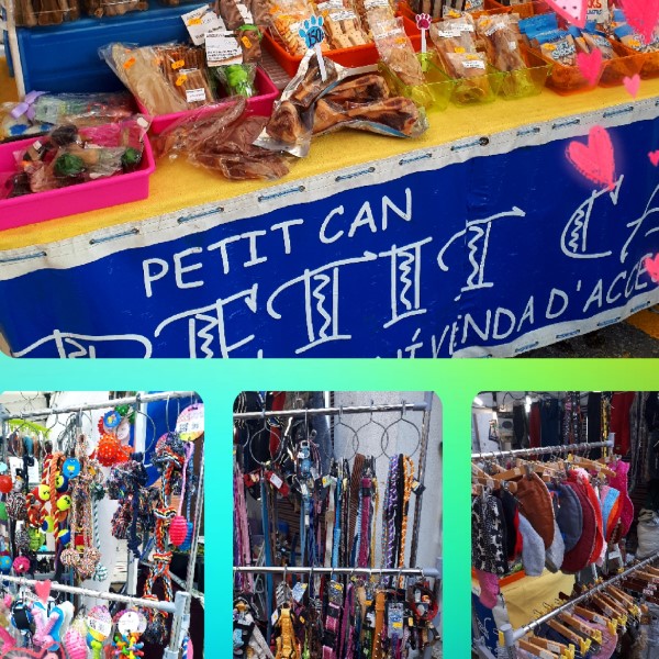 FPU25 Gemma Figueras Paulet