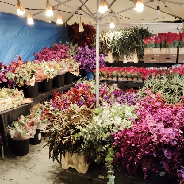 FPU25 Guillem Fuster Regidor