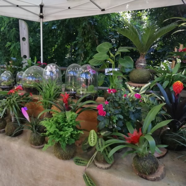 FPU25 Ismael Sanchez manuel