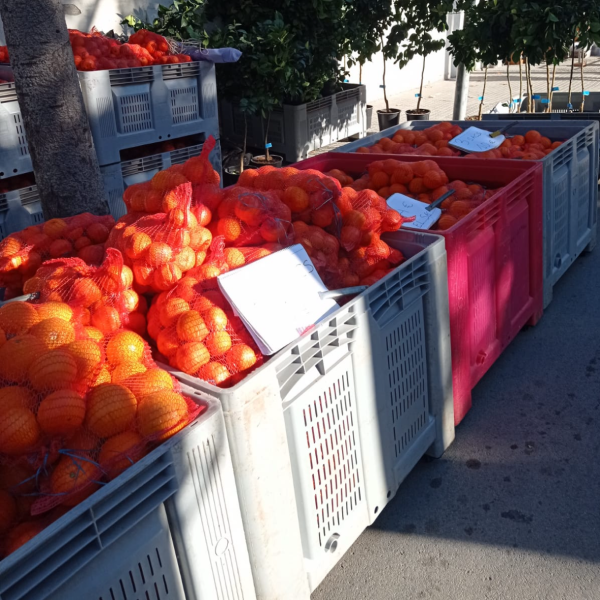 FPU25 Joaquin Jose Forcadell