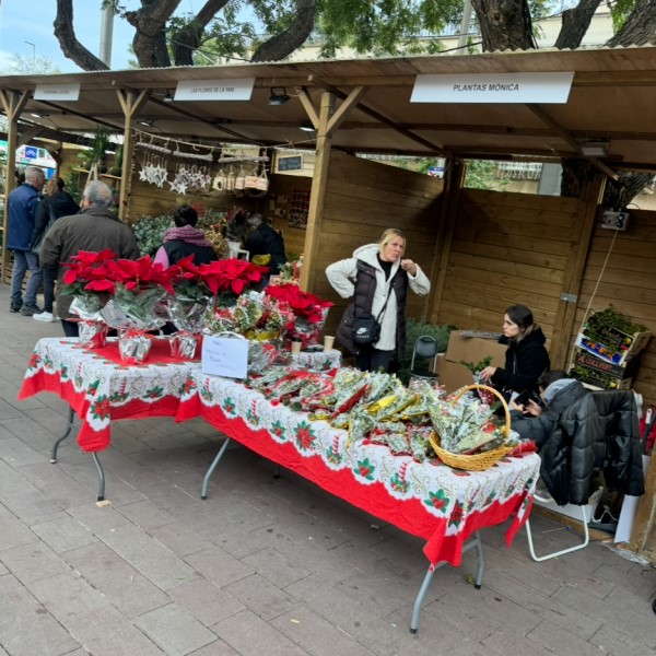 FPU25 Jose Agustin Llaja Rojas