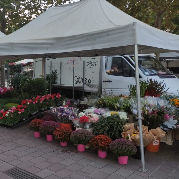 FPU25 Jose Ramon Soguero Lara