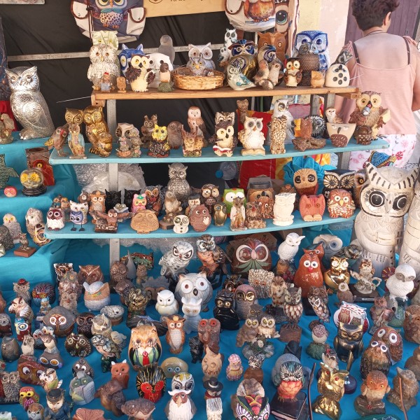 FPU25 Lluis Acero Munoz