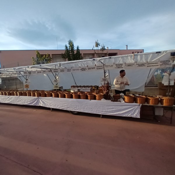 FPU25 Luisa Carrasco Carrasco