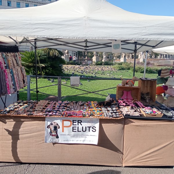 FPU25 Oriol Salvador Roig