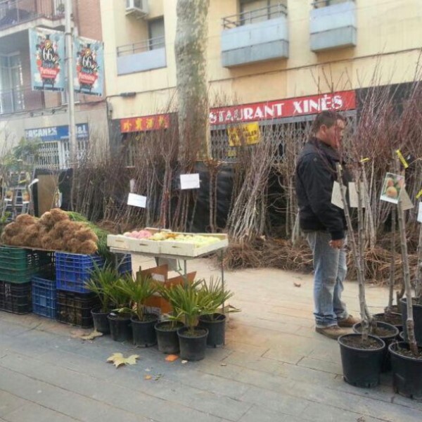 FPU25 SANTOS PATO DIAZ