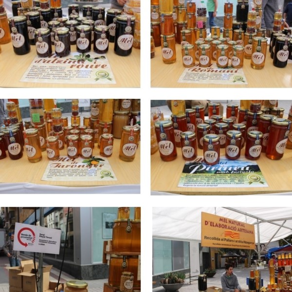 FPU25 SERGI PINOL TERUEL