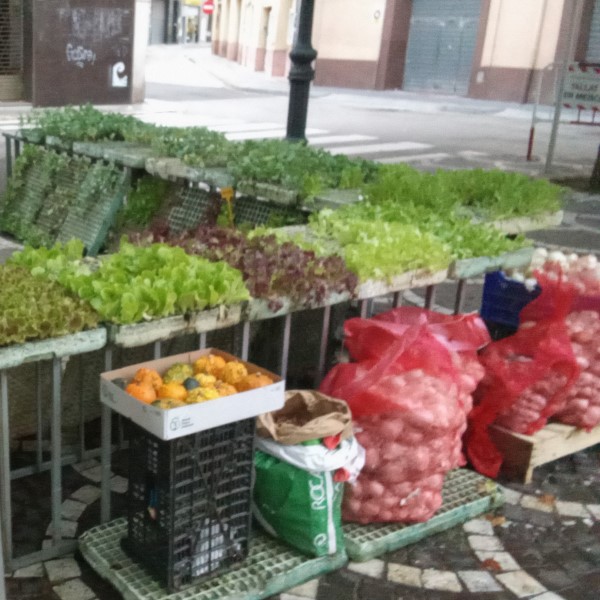 FPU25 Sergi Garcia Martell