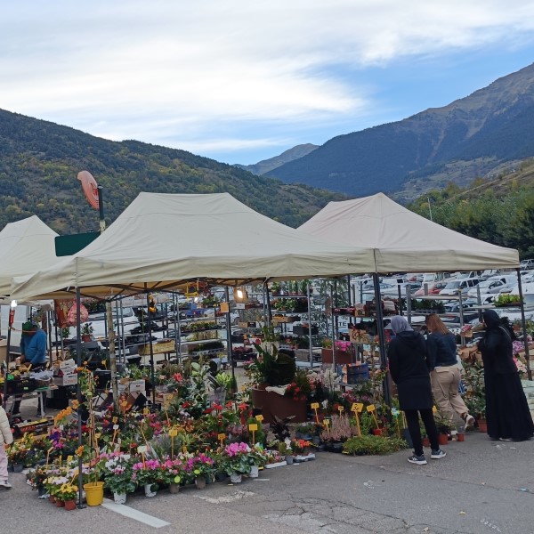 FPU25 Viveros Larena