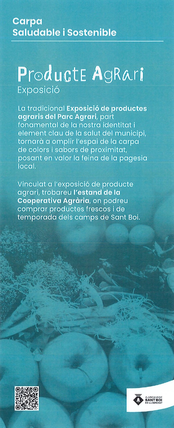 Totem Carpa Sostenible 2025 page